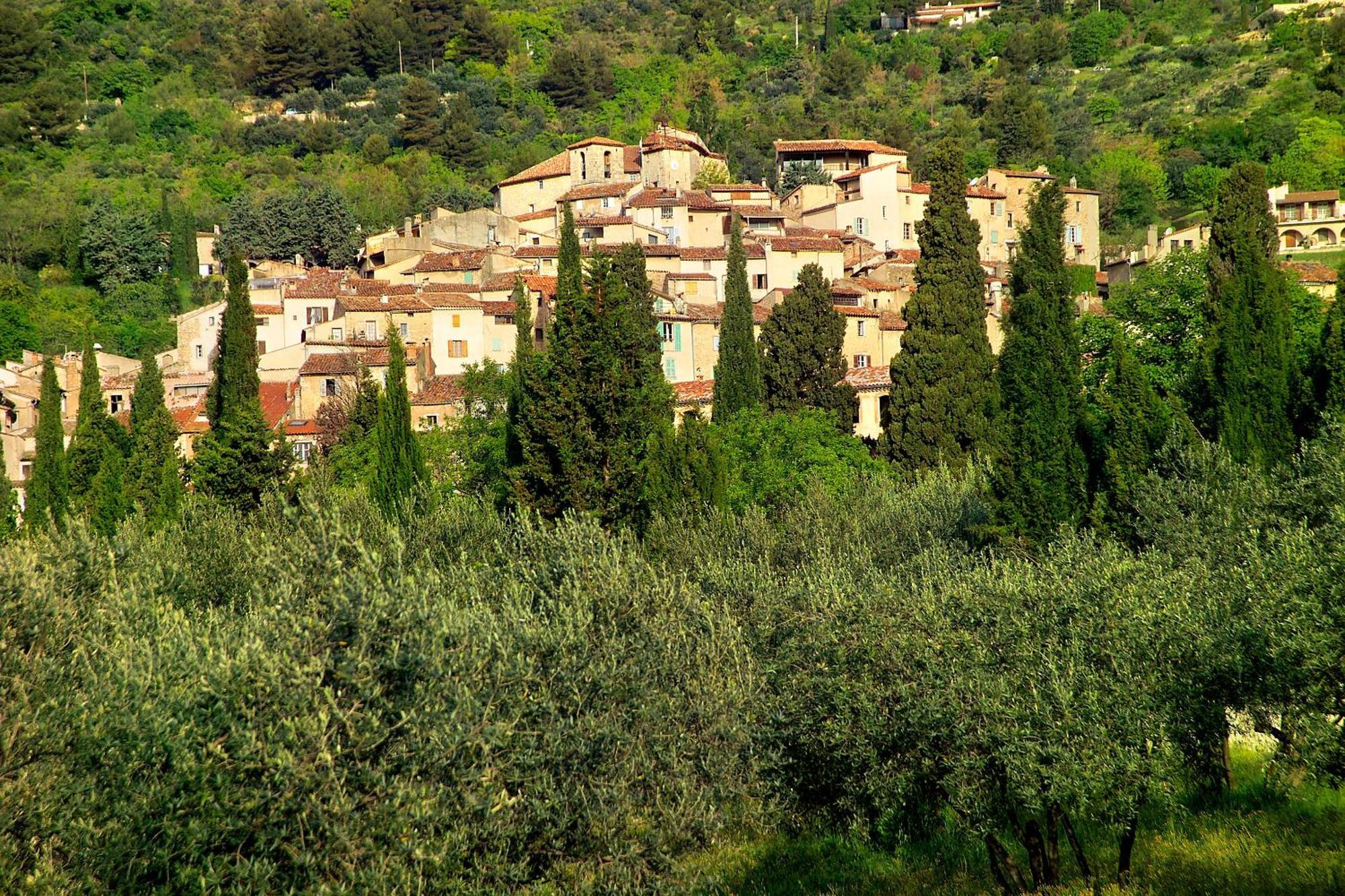 Hotel Restaurant Des Deux Rocs Seillans Dış mekan fotoğraf